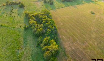 1130 15000 Rd, Altamont, KS 67330