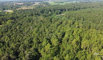 0 Lowery Rd Lot #10, Atmore, AL 36502