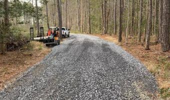 6774 Spring Grove Rd, Adams Run, SC 29426