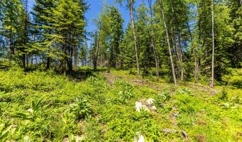1140 Salee Creek Rd, Bayview, ID 83803