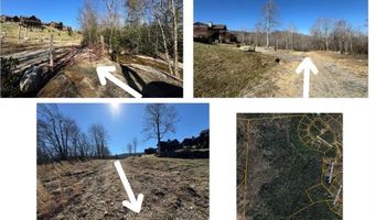 62 Acres Buckeye Ridge Rd, Beech Mountain, NC 28604
