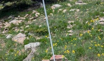 UPPER APEX Road, Black Hawk, CO 80422