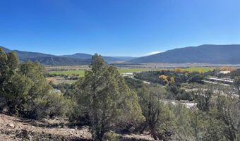 440 Run Around Rd, Arboles, CO 81121