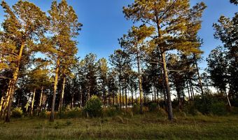 506 Nature Trl, Blackville, SC 29817