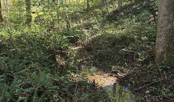 HURT HOLLOW RD, Banco, VA 22711