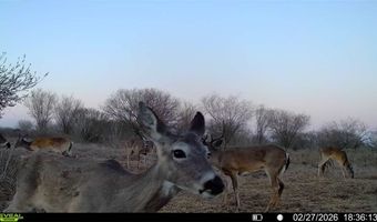 CR 119 lot 0, Alice, TX 78332