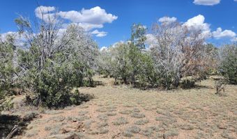 2901 N Cienega Dr A, Ash Fork, AZ 86320