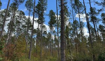 02 Seneca St Ext, Calhoun Falls, SC 29628