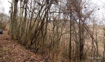 Jacks Knob Road, Barnardsville, NC 28709