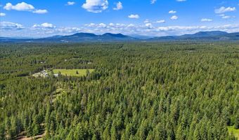 28801 N LEWELLEN CREEK Rd, Athol, ID 83801