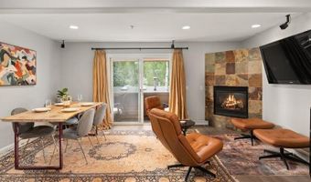 326 Midland Ave 302, Aspen, CO 81611
