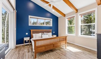 1227 Edgewood Rd, Alma, CO 80420