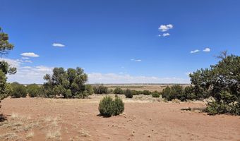 27 N 9183, Concho, AZ 85924