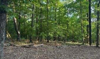 0 DAVIS ACRES Dr 72 & 73, Alpine, AL 35014
