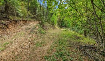 NKA Silver Creek Road, Clark Fork, ID 83811
