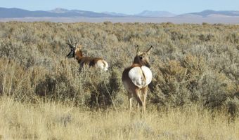 8350 W 5200 N, Beryl, UT 84714