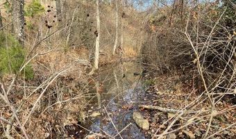 153 ACRES 34.6002 -95.08725, Albion, OK 74571