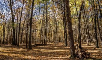 Lot 33 S Badger Lane, Arkdale, WI 54613