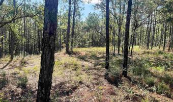 0 State Highway 225, Bay Minette, AL 36507