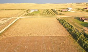 Mule Deer Ave, Bowman, ND 58623