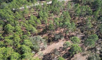 93 RD Ter, Archer, FL 32618