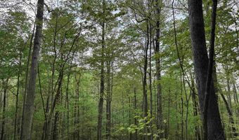 7046 S State Road 145, Birdseye, IN 47513