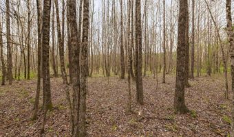 1144 Little Big Mound Rd, Bentonia, MS 39040