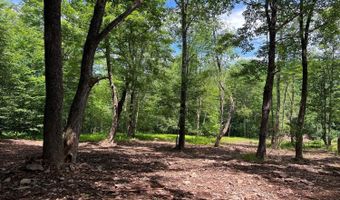 0 Woodland Hills Rd, Andes, NY 13731