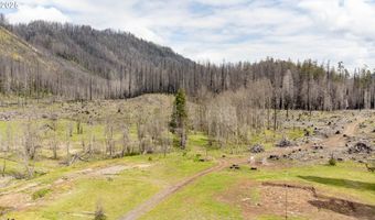 91747 BLUE RIVER RESERVOIR Rd, Blue River, OR 97413