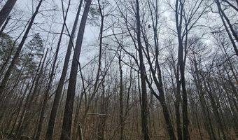 13 Toney Drive, Altoona, AL 35952