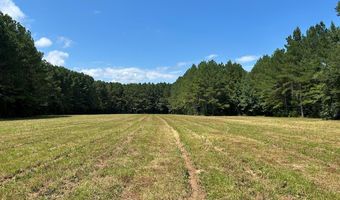Pleasant Hill Road, Ashland, MS 38603