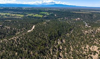 Canoncito Lane Turley Mill Lot 7, Arroyo Hondo, NM 87513