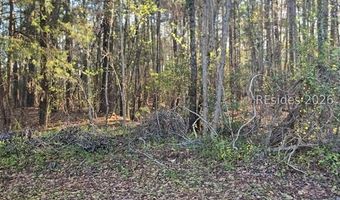 Freeman Street lot 12, Brunson, SC 29911