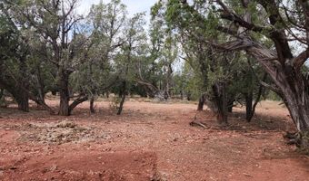 488 B & C Scorpion, Ash Fork, AZ 86320