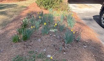 538 Virginia St, Roanoke Rapids, NC 27870