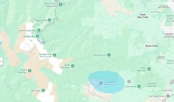 226 Hall Rd, Bailey, CO 80421