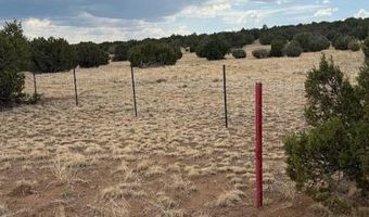 82 County Road 8010, Concho, AZ 85924