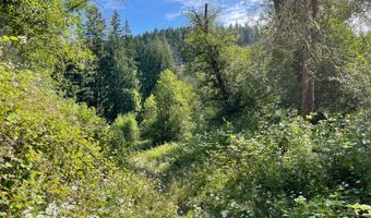 Bogynski RD, Oregon City, OR 97045