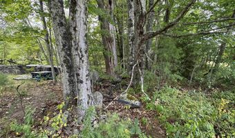 7 Garney Rd, Brookfield, NH 03872