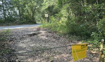 187 Ac Old River Rd, Baker, FL 32531