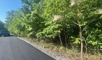 617 N North Pointe Trl, Allons, TN 38541