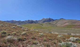 012-050 30 Coyote Canyon Lot 012-050-30, Imlay, NV 89418