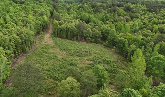 6020 Eaglewood Ln, Birchwood, TN 37308