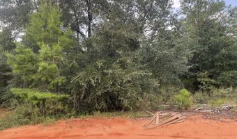 Girard Court lot 37, Alford, FL 32420