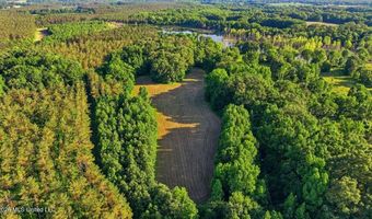 425 Rose Hill Rd, Bentonia, MS 39040