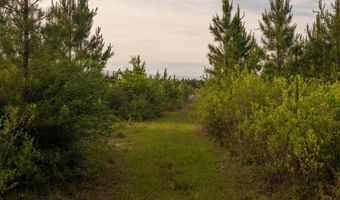 0 Flowers Rd, Bay Minette, AL 36507