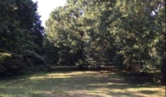 11996 DOUGLASS, Arlington, TN 38002