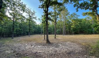 Old Moyers Road, Antlers, OK 74523