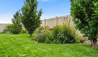 633 Conestoga Dr, Ault, CO 80610