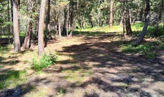 1825 Copper Cliff Dr, Bonner, MT 59823